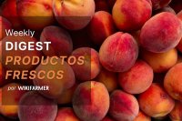Boletín del mercado de productos frescos - Semana w24/2025